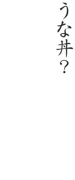 うな丼？いいえ、うなぎ天丼です。